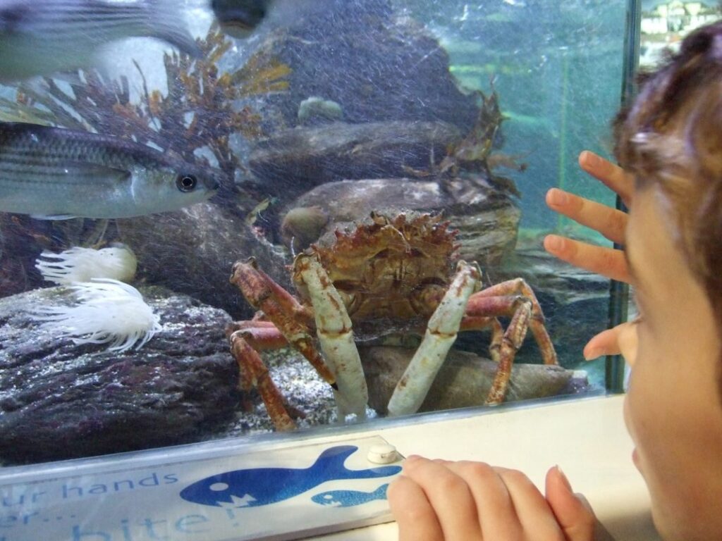 Ilfracombe Aquarium