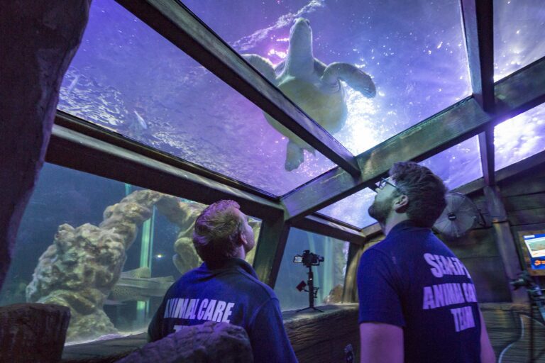 Sea Life Blackpool