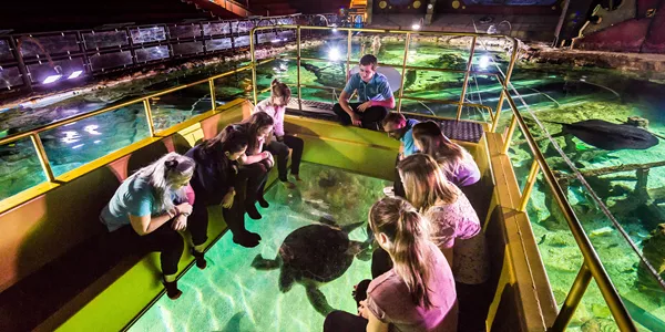 Save Up 20% Off Entry to Sea Life Brighton
