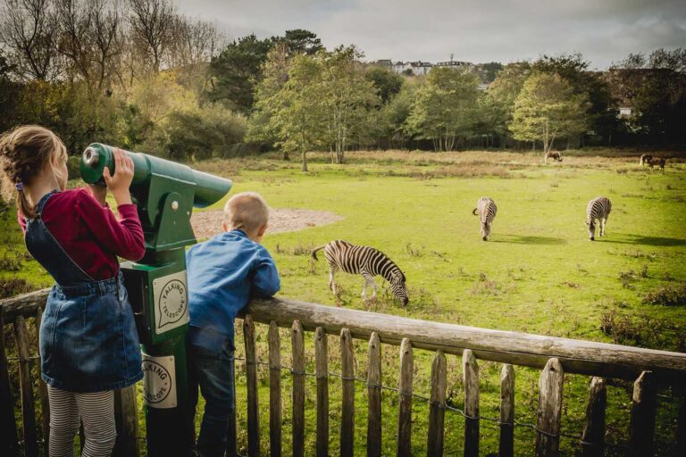 Newquay Zoo