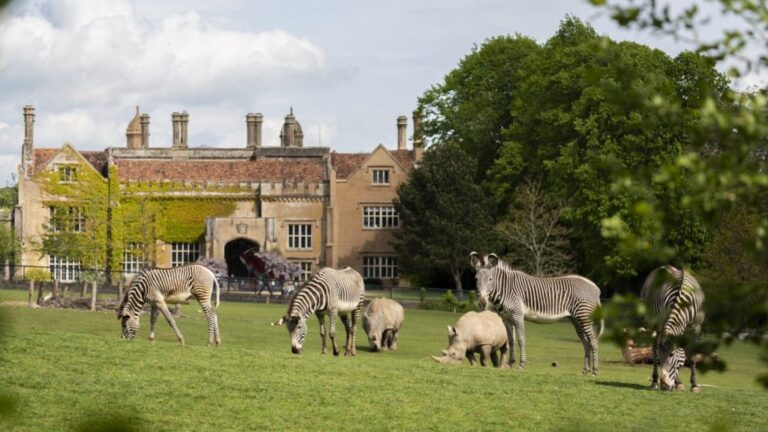 Marwell Zoo