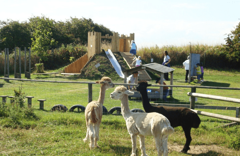 Filey Bird Garden and Animal Park