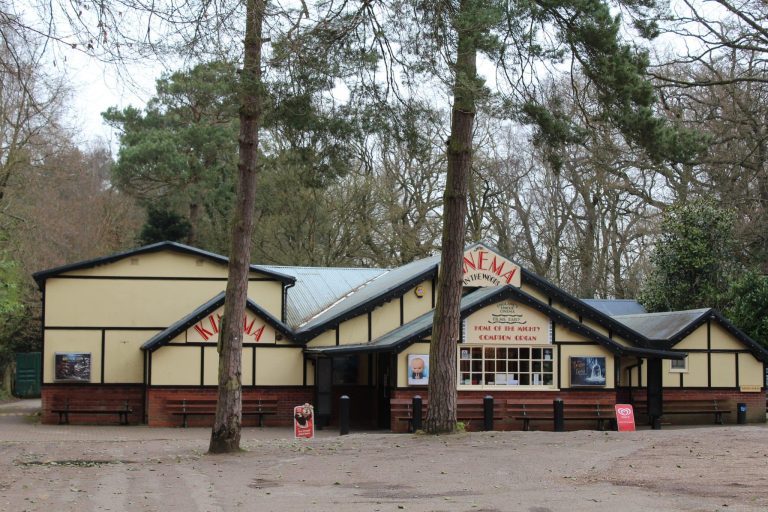 Kinema In The Woods