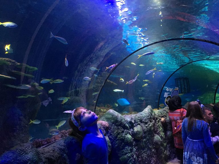 Up 17% off Sea Life Manchester