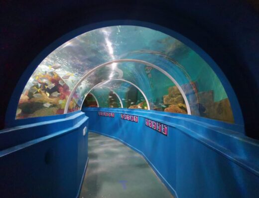 191881593 4409742789059560 8128395584788719725 n