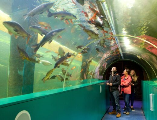 3a9adaee 8911 4322 ae31 7ed897bcb850