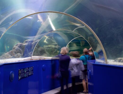 3e142b48 71b9 41af 99cd 471f52f85214