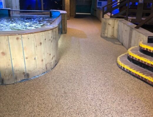 500634350 1088524146654329 7059013894085443515 n