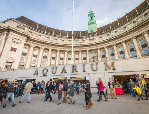 SEA LIFE London Aquarium Review Hero