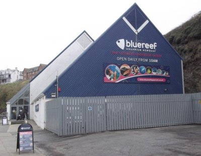 The Blue Reef at Newquay BR3[1]