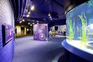 blue reef aquarium 300x200