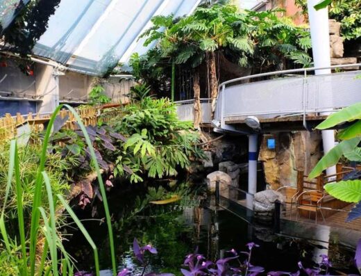 bristol aquarium tank 2