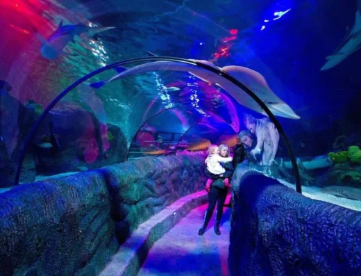 loch lomond glass tunnel