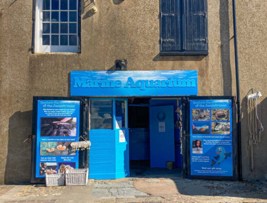 lyme regis aquarium entrance