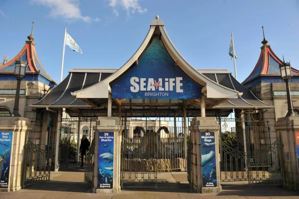 sea life centre 608924