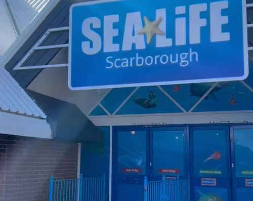 sea life entrance