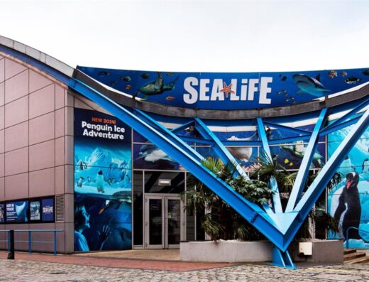 sealife centre 1951480762