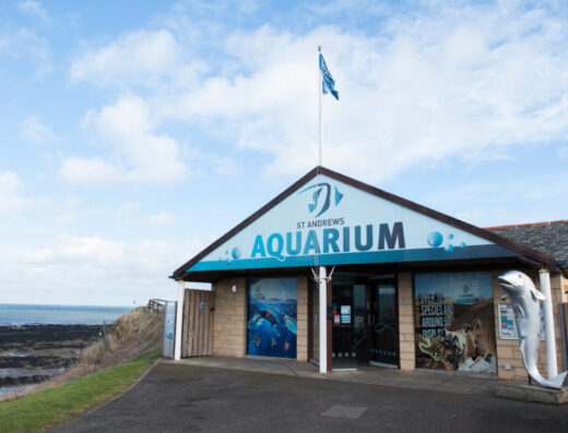 st andrews aquarium