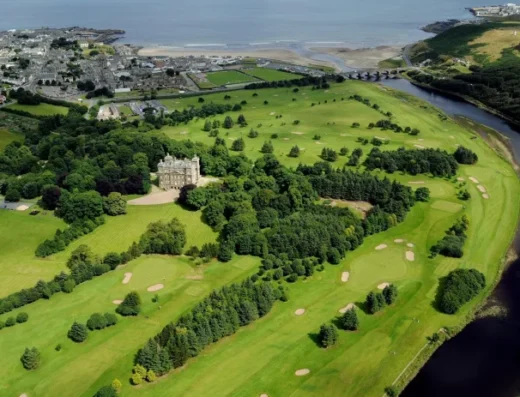 1000 1520795160.359 768x463