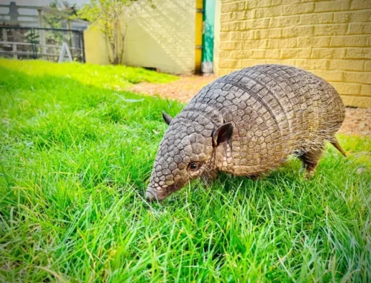 29bbdcbd 88ef 4ef4 92c2 f76b921438d9 2 768x576