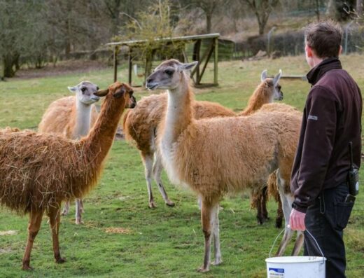 4ONQ6L41RU2GNB5BDSCR 768x582