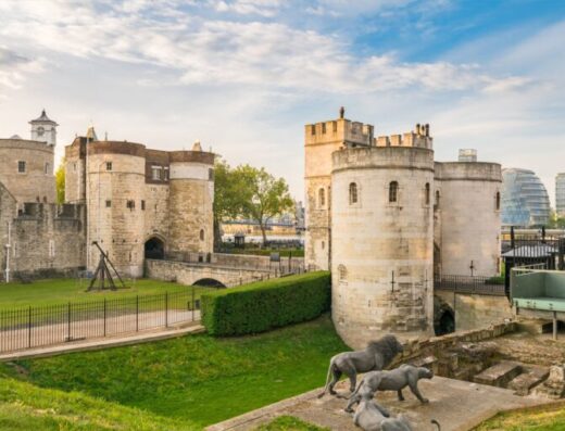 8a41965b 4373 4973 b175 0a4ae56e62e2 768x512