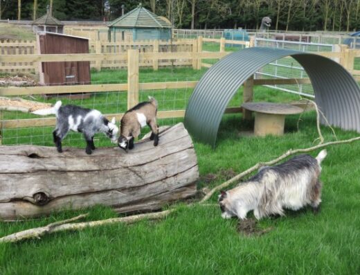 ATW 18.04.18 071 Custom