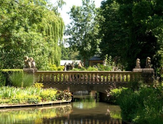 dsc 0896 largejpg 768x513