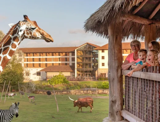 feb ht wanyama lookout image 1