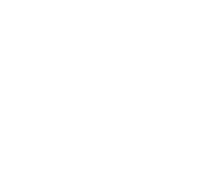 Accessible Travel Group